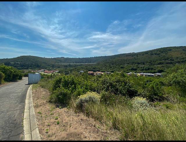 705M² VACANT LAND FOR SALE IN DOLPHIN CREEK GOLF ESTATE